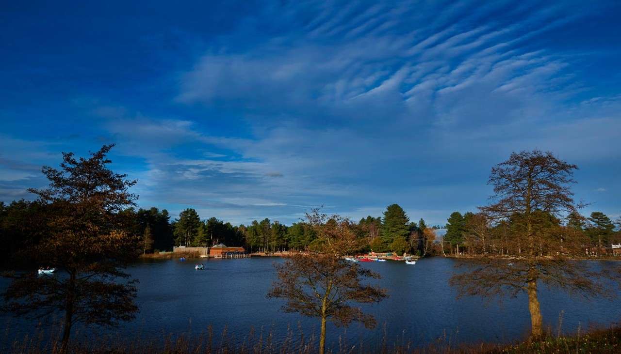 Sherwood Forest lake.