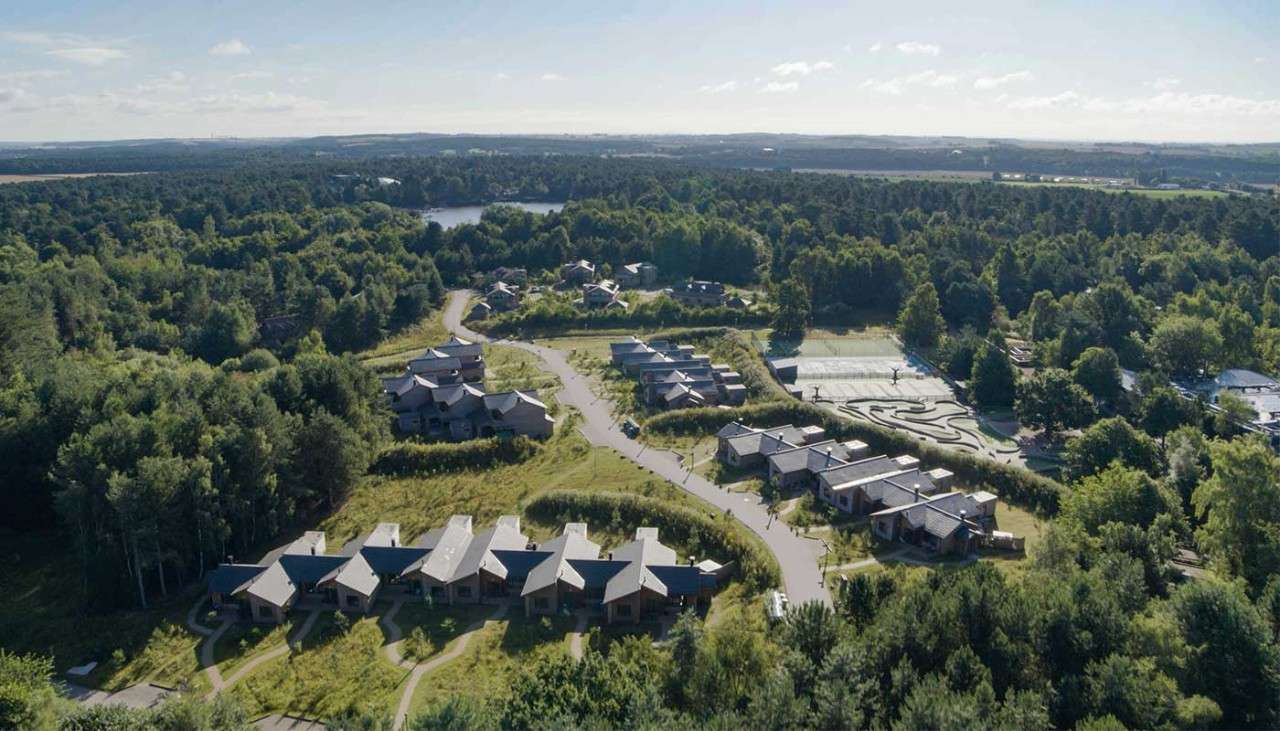Aerial shot of the lodges in the forest.