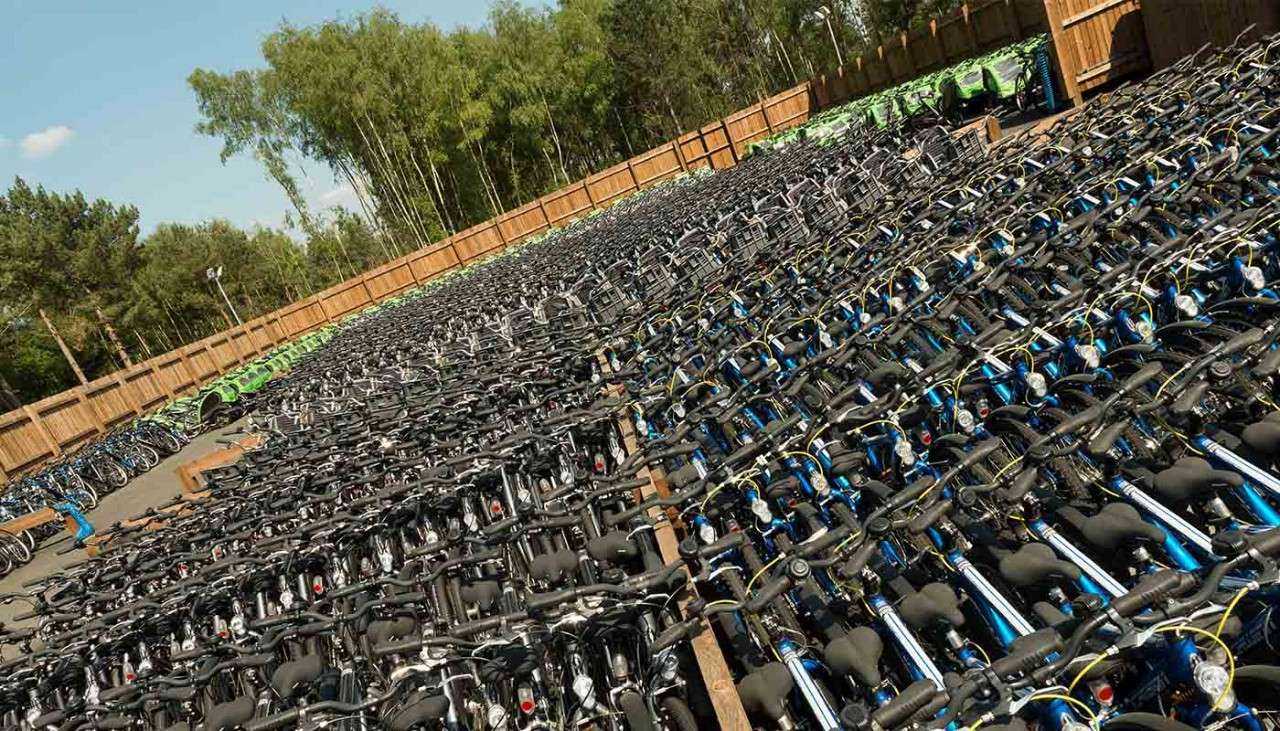 Cycle Centre bikes lined up in the yard