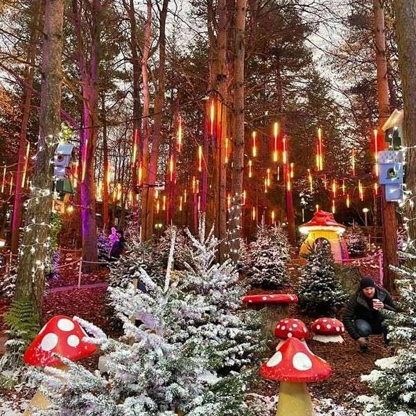 A man surrounded by toadstool decorations in Santa's Woodland Village