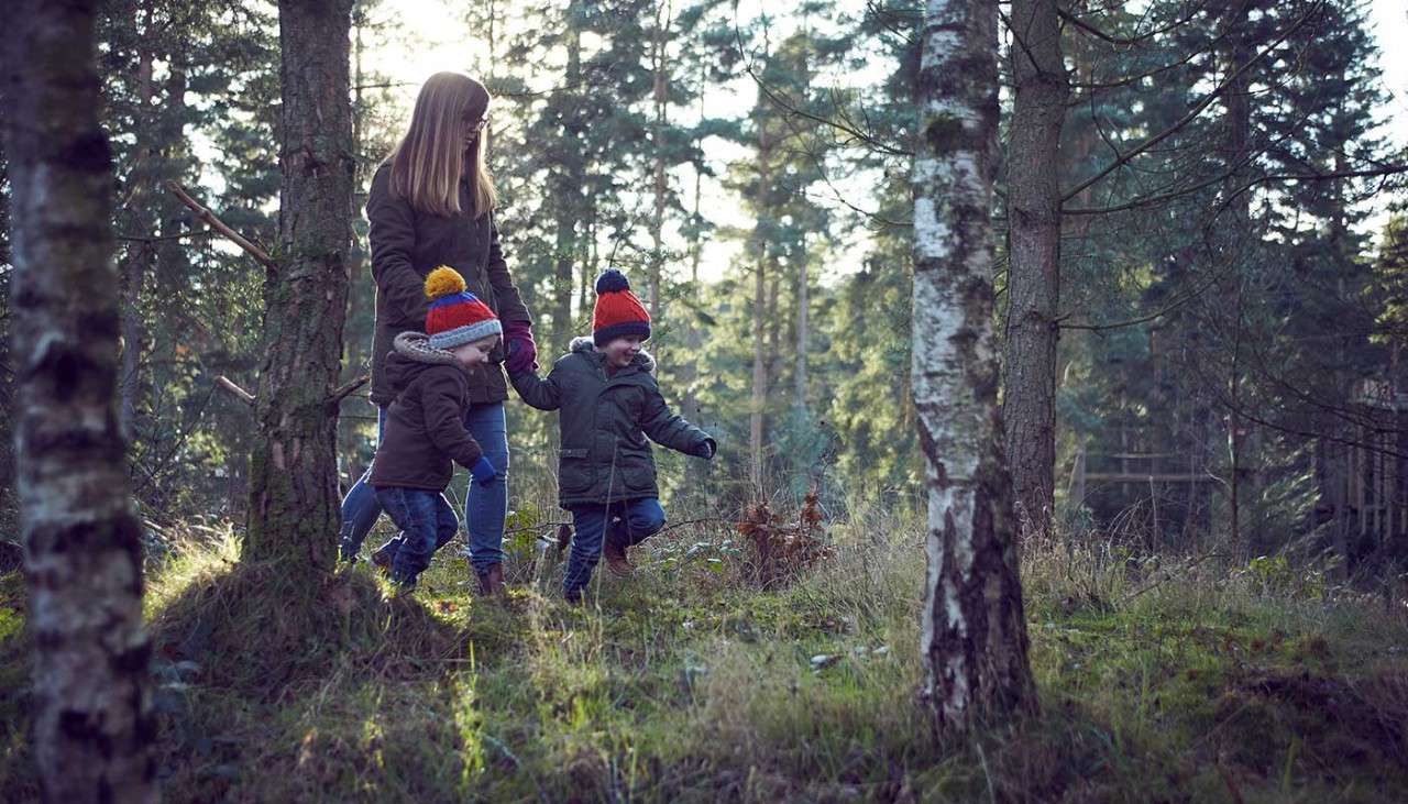 Mother and two boys walking through forest in winter