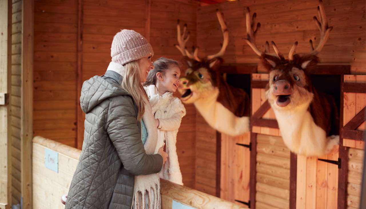 Mother and daughter watching the singing reindeers.