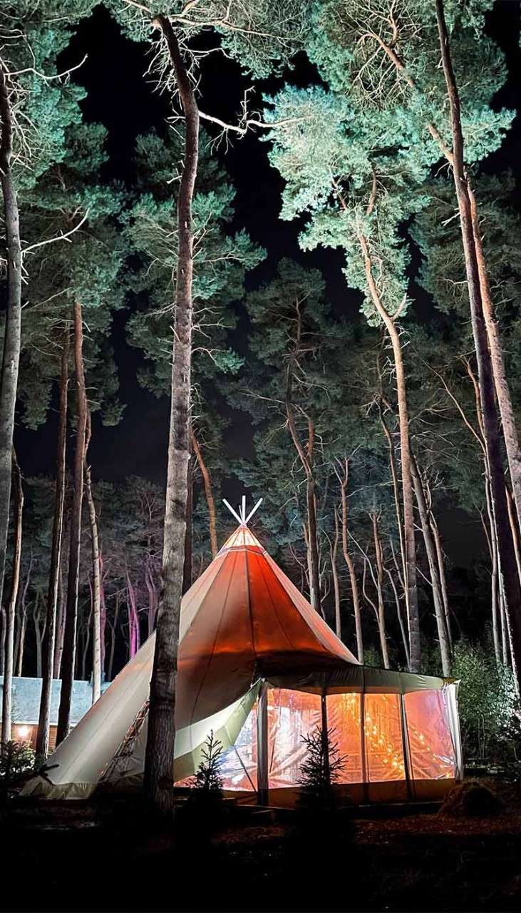 Image of the Forest Fayre Tipi surrounded by trees.