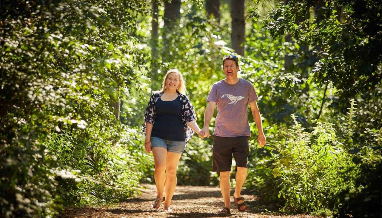 Couple holding hands walking through the forest on a summers day.