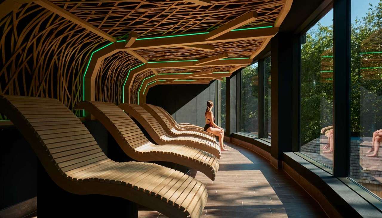 Contoured lounge seats with a view out to the forest
