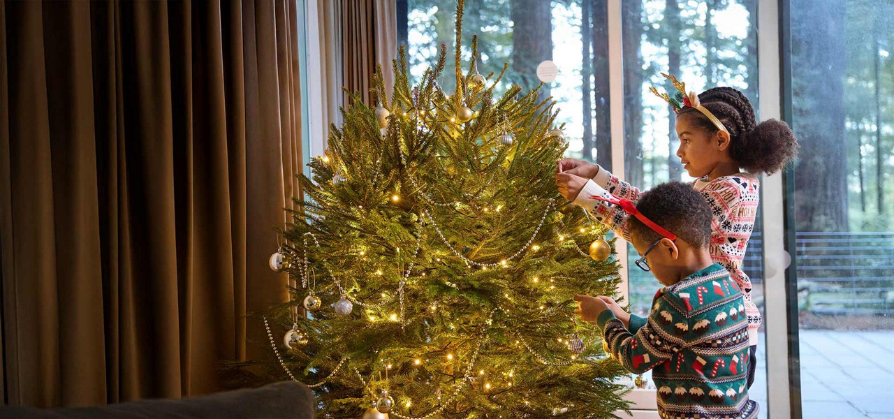A brother and sister putting decorations on a christmas tree.
