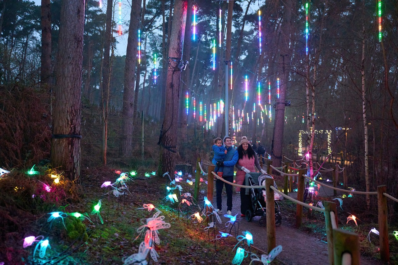A brother and sister putting decorations on a christmas tree.