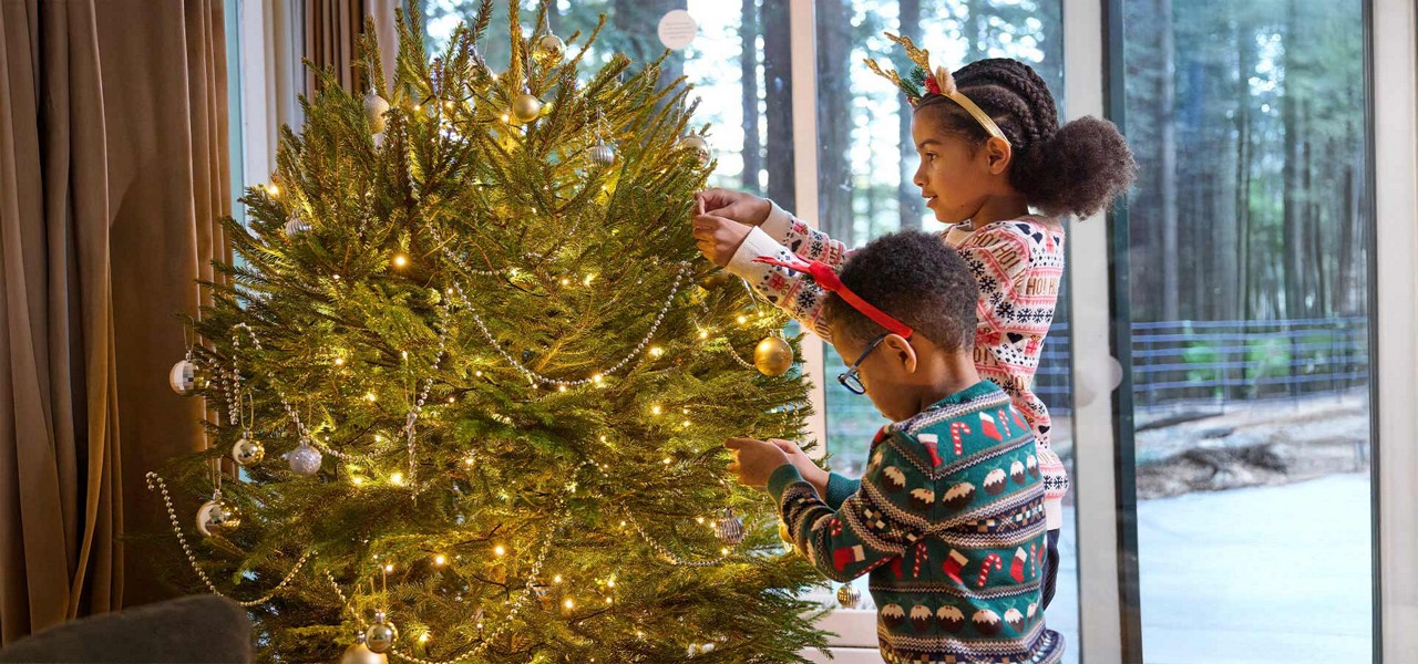 A brother and sister putting decorations on a christmas tree.
