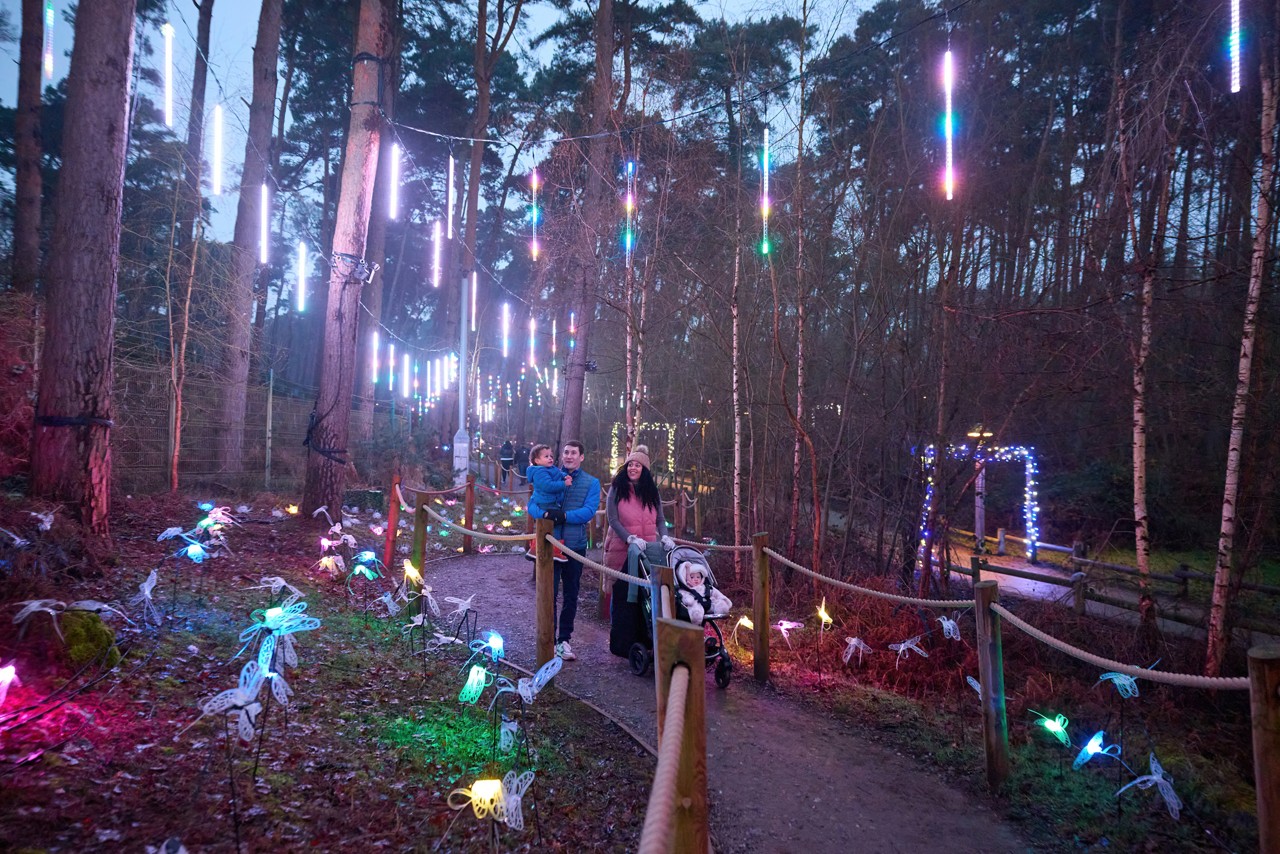 WFL WO 2025 PRE SCHOOL 83