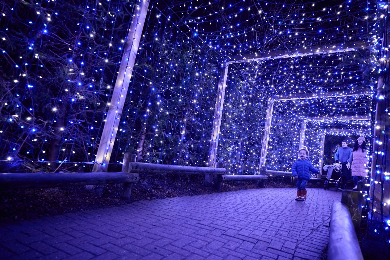 WFL WO 2025 PRE SCHOOL 83