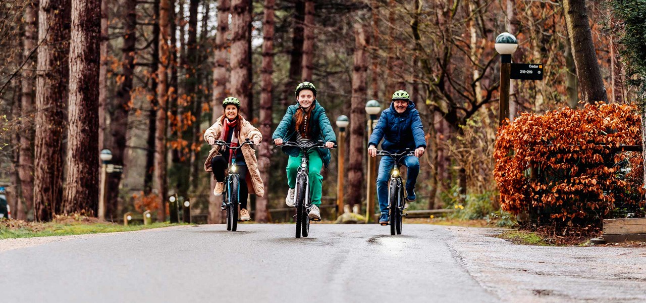 Cycling through the autumn forest
