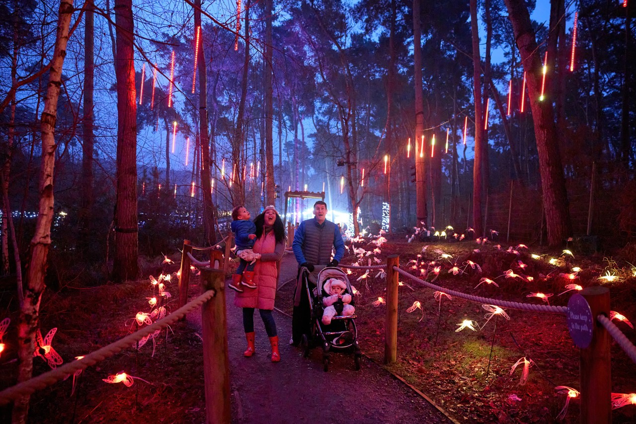 A family in the forest surrounded by fairy lights