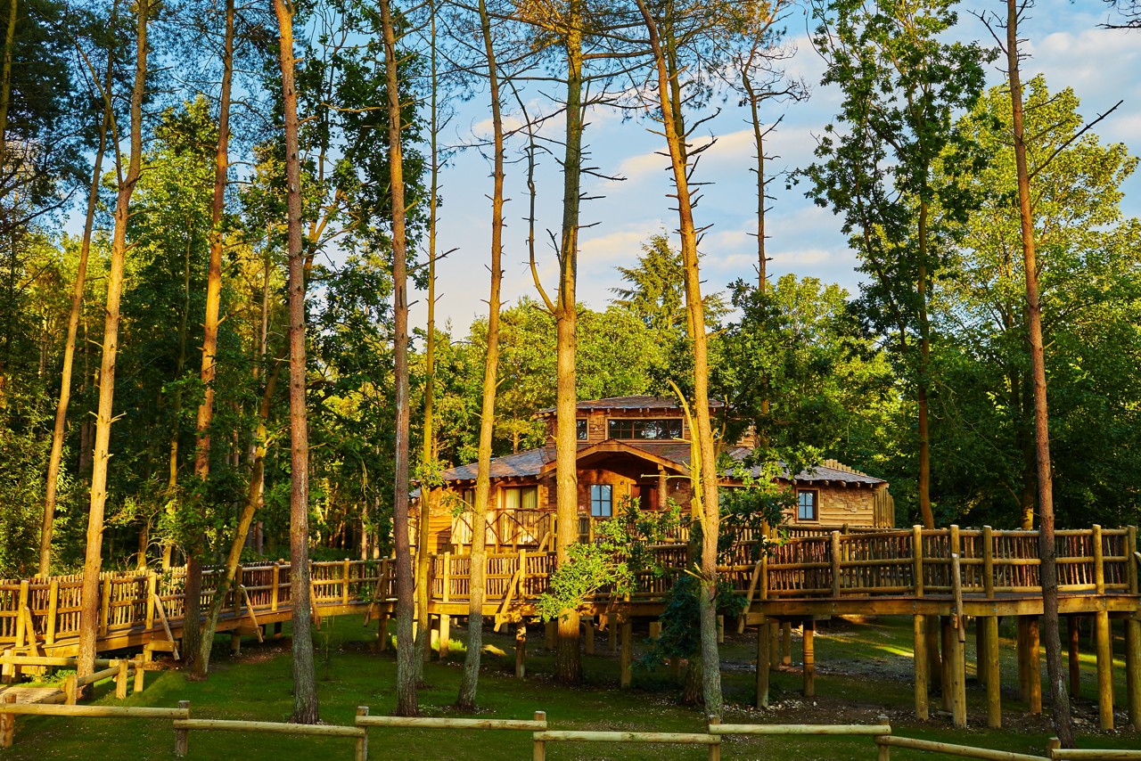 Treehouse lodges for your Winter Wonderland break