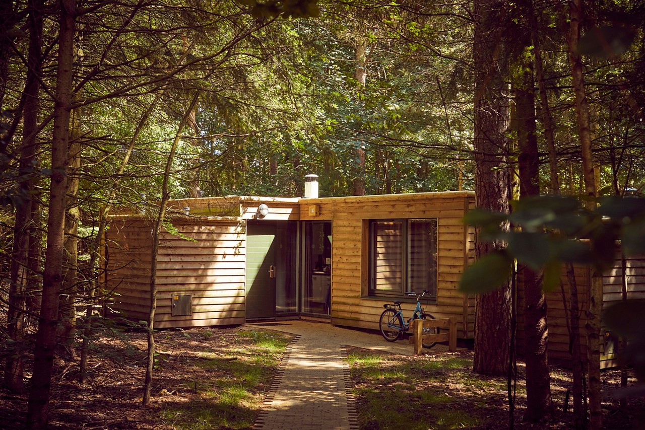 Woodland lodge nestled in the forest.