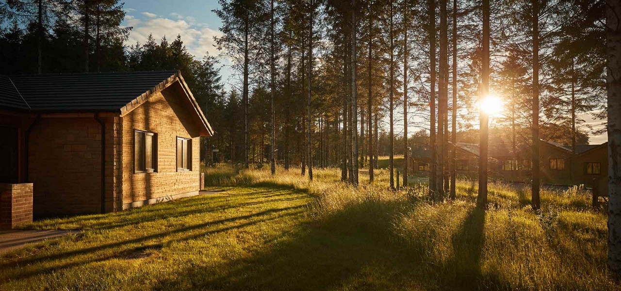A lodge in the forest lit by the setting sun