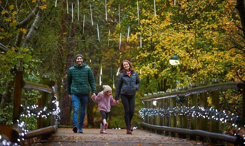 A family walking through the forest.