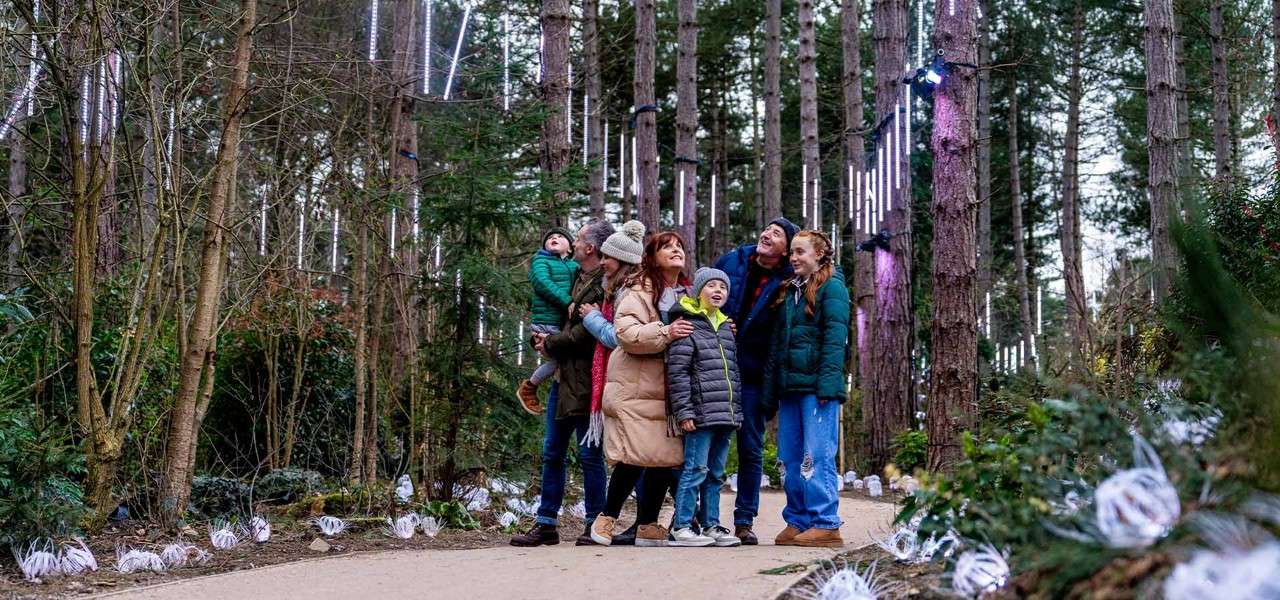 A family on a New Year walk