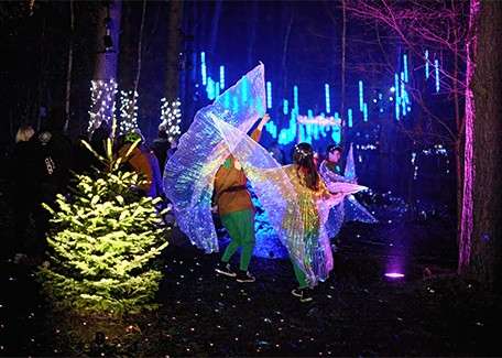 A family watching the singing reindeers.