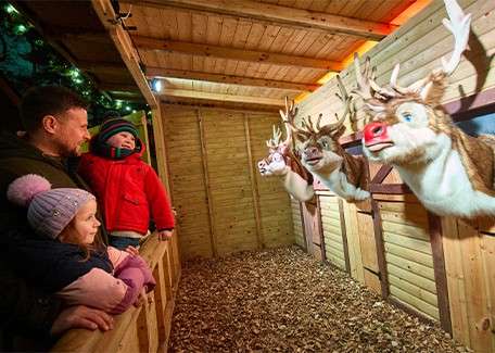 Children watching santa's singing reindeers