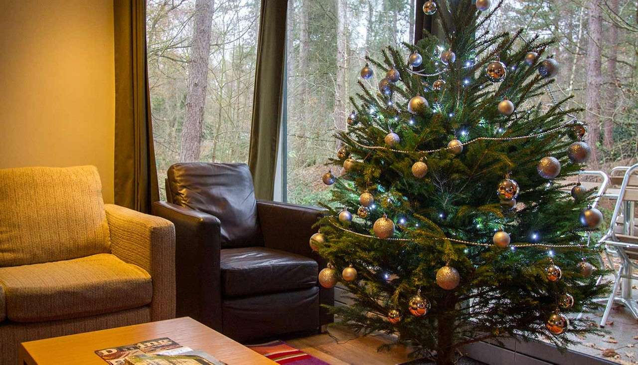 Christmas tree glows with white lights and gold baubles, standing beside sofas in a cozy living room; large windows reveal a wooded outdoor patio with chairs. Text visible: “Prime”.
