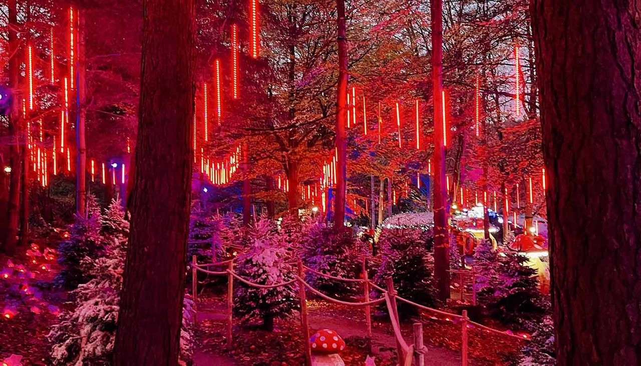 Red LED light tubes glow overhead, illuminating a winter forest path. Snow-dusted evergreens, rope fences, and scattered visitors appear beneath the canopy, creating a festive nighttime woodland scene.