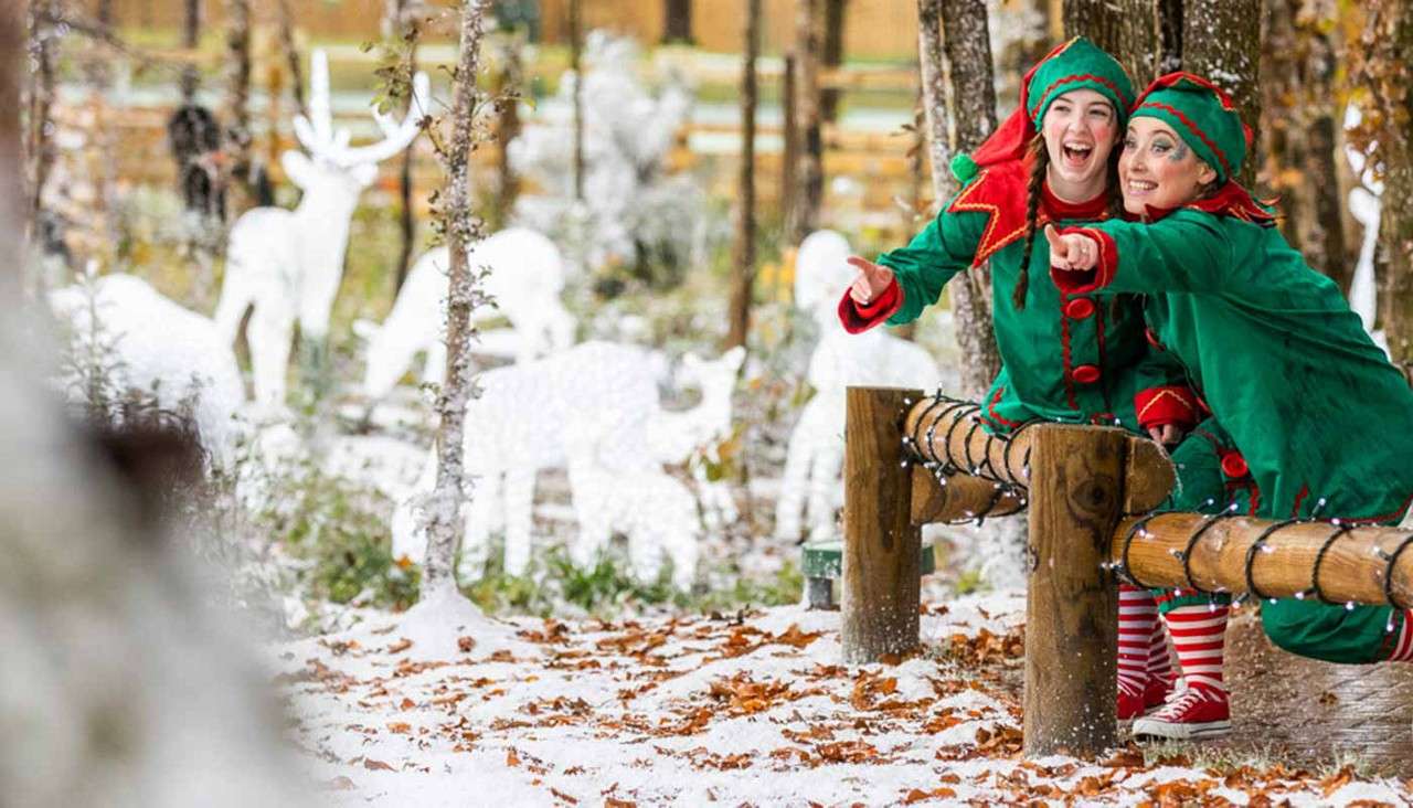 Elves play in the snow