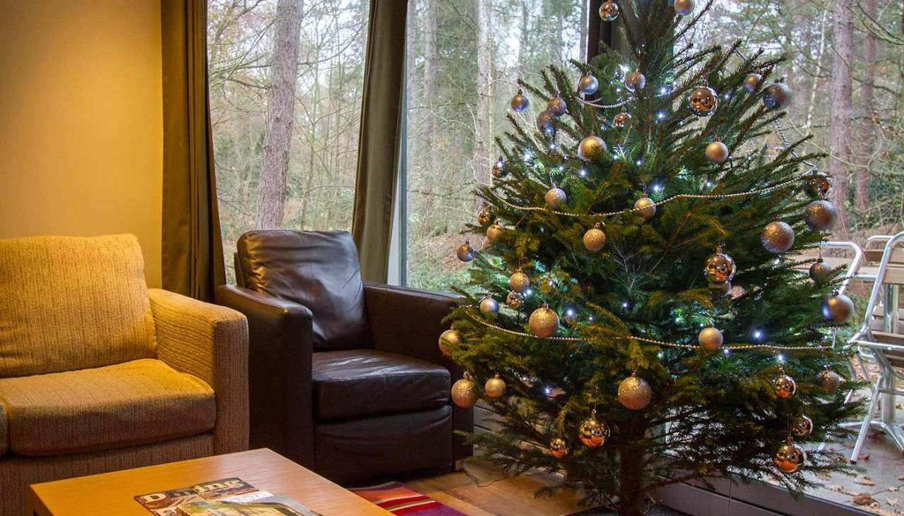 Christmas tree with decorations in a lodge