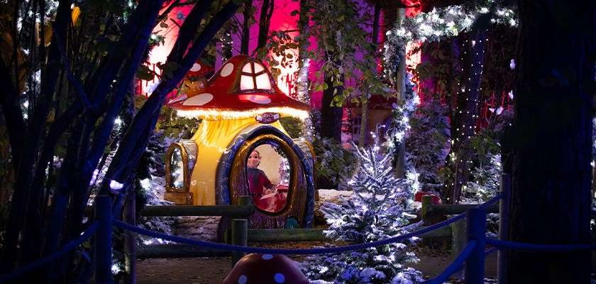 Woodlands Christmas Events 2022 Christmas Holidays 2022 | Family Christmas Breaks Uk | Center Parcs