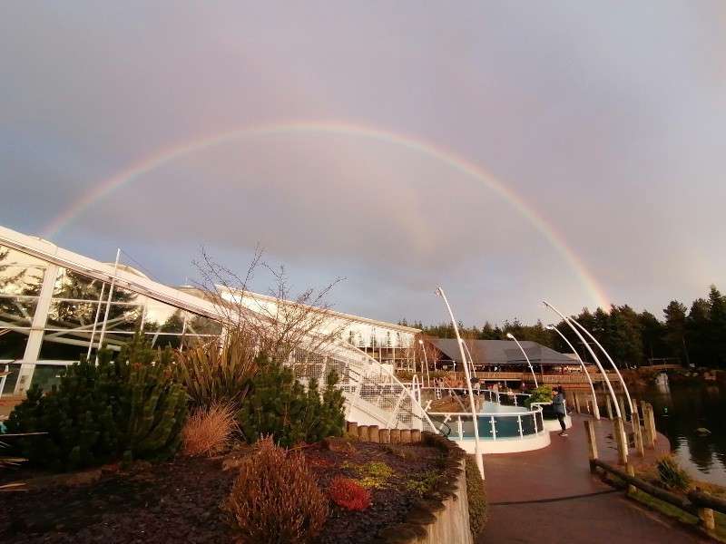 Rainbow arches across a cloudy sky over a modern leisure complex. Below, landscaped shrubs, an outdoor pool, and a waterside walkway with curved poles and a person complete the scene.