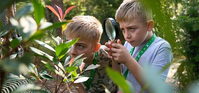 Two children examine plant leaves, one holding a magnifying glass, crouching in dense greenery. They focus intently on foliage during an outdoor nature exploration in a sunlit garden or forest.