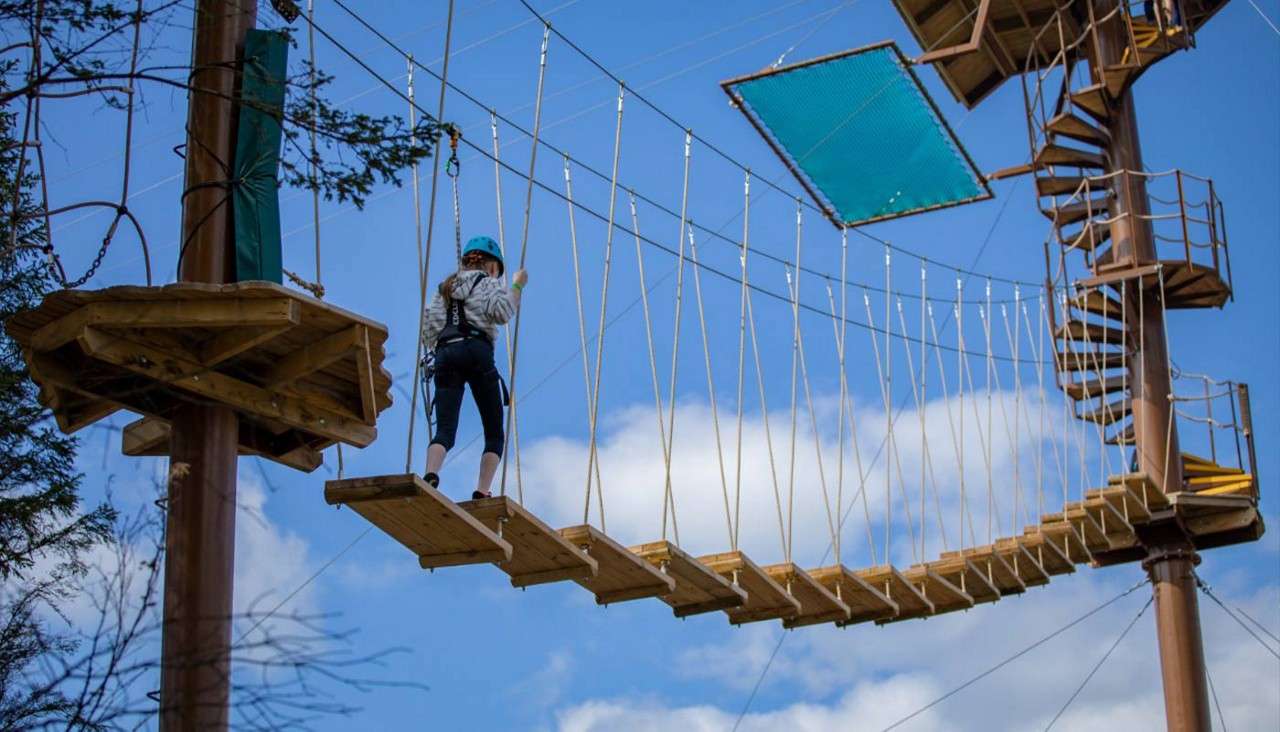 Person trekking on a walkway between trees