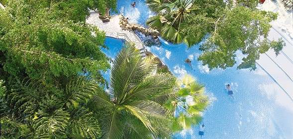 Birdseye view of the subtropical swimming paradise