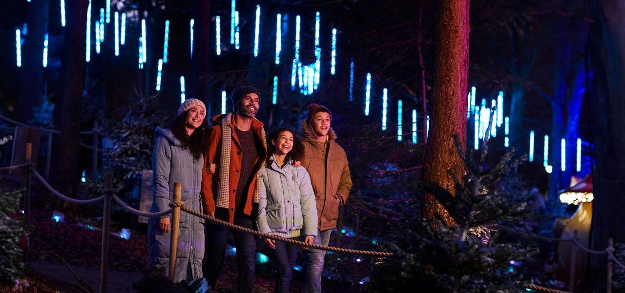 Family looking at winter forest lights