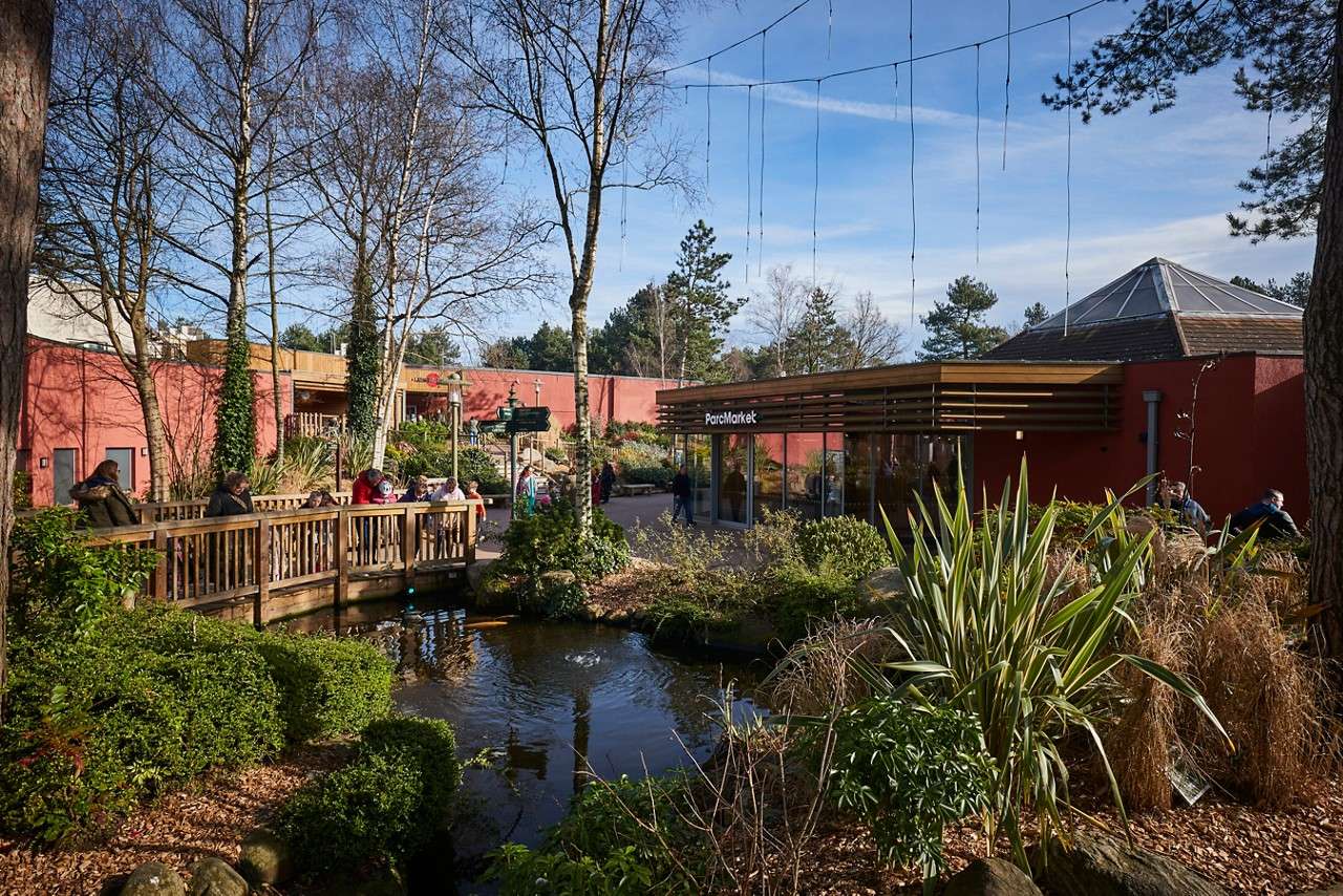 People lean on a wooden bridge, watching a pond; landscaped garden surrounds them; behind, a modern building labeled ParcMarket sits against red walls and trees under blue sky.