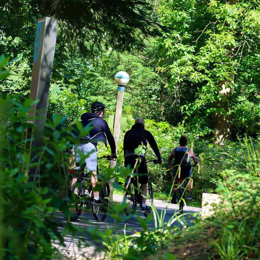 Cyclists ride along a paved path through dense green forest, dappled sunlight. Three riders wearing helmets and backpacks head away, flanked by lush foliage and wooden posts topped with a globe light.