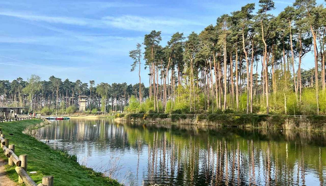 A view of the lake with the relfection of the trees glistening in the water. 
