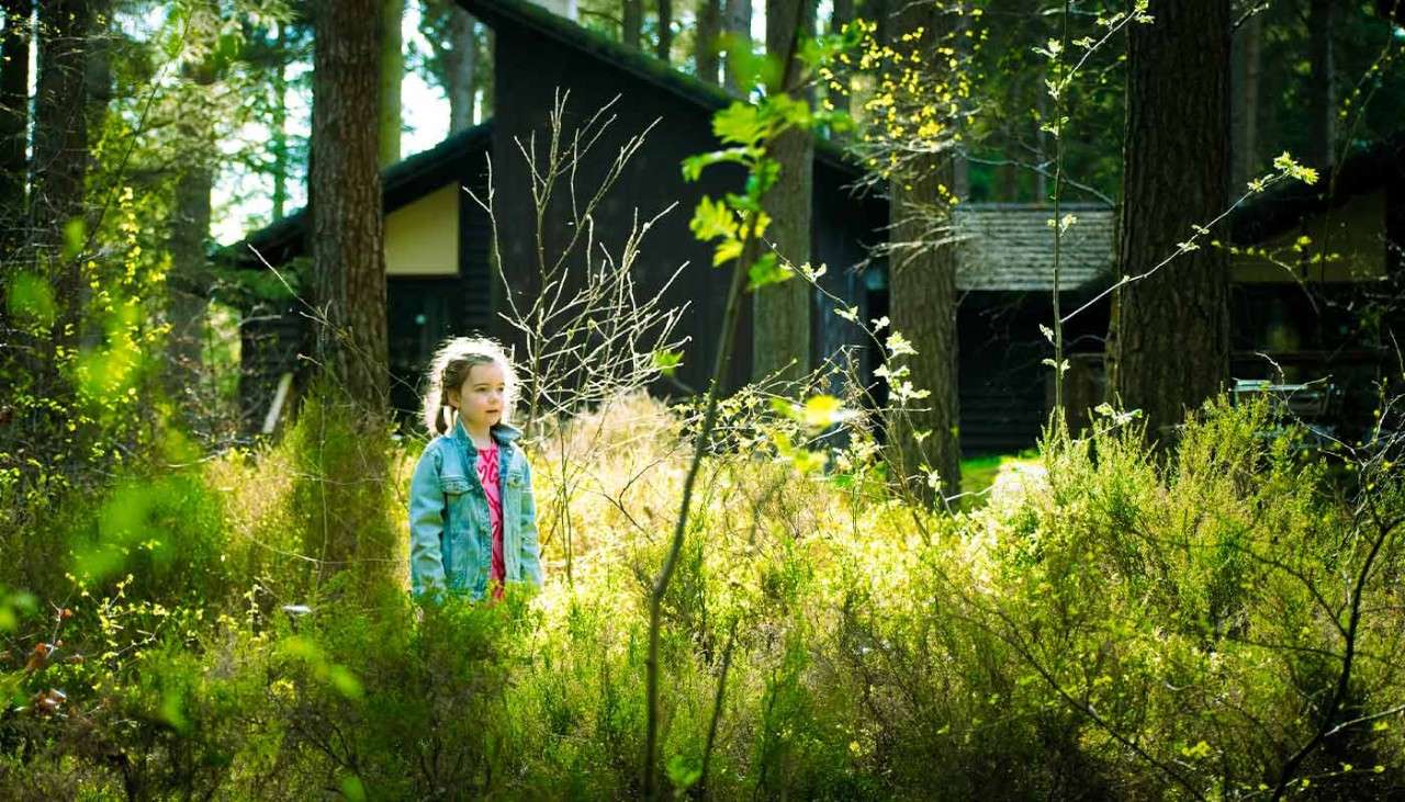 A little girl amongs the wild woodland looking out into the distance with a lodge in the background. 