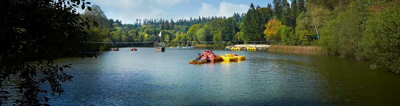 Lake and beach at Longleat Forest