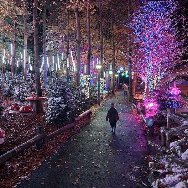 A family walking through the forest at nigh lit up by the Enchanted Light Garden