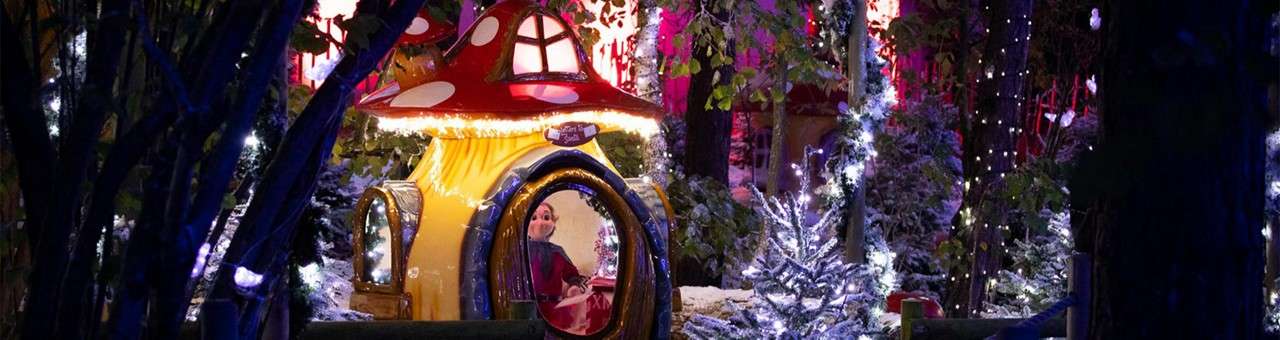 New Year Family Breaks 2020 New Year Holidays Uk Center Parcs
