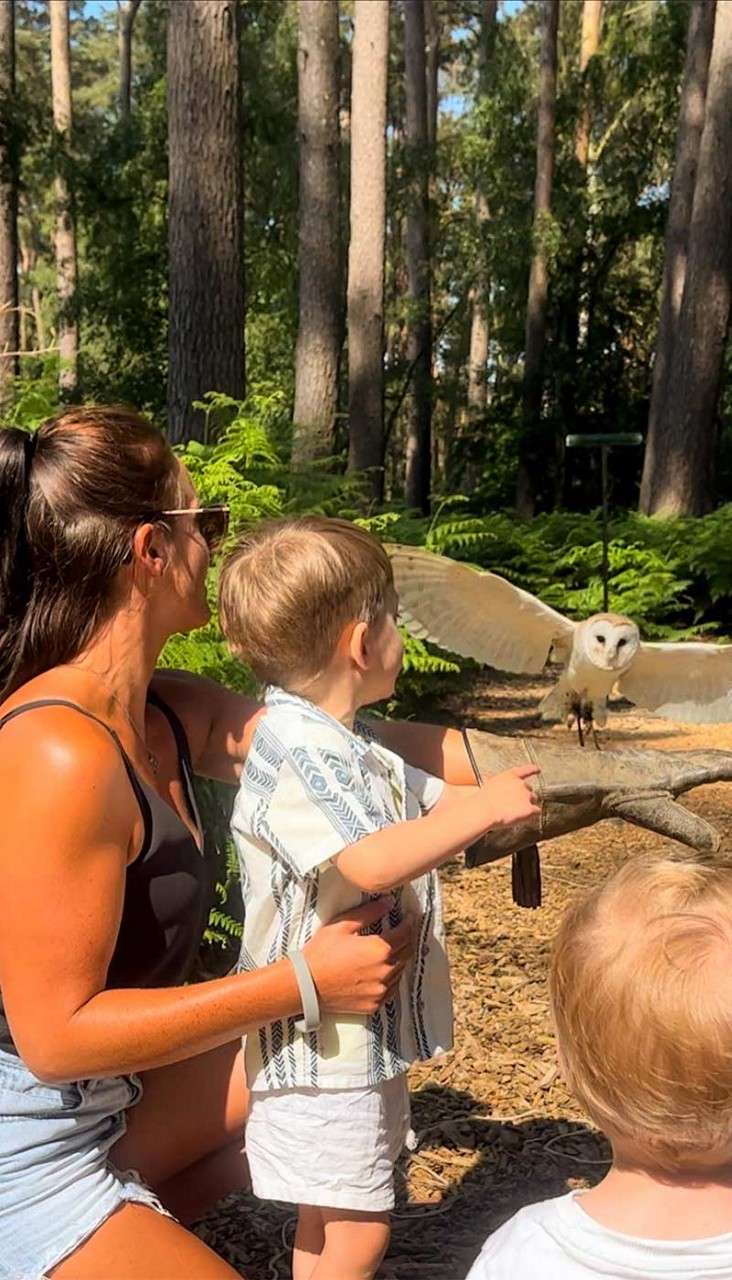 Owl lands with wings spread on a wooden perch; nearby, a woman kneels holding a child while another child watches, in a sunlit forest with tall trees and ferns.