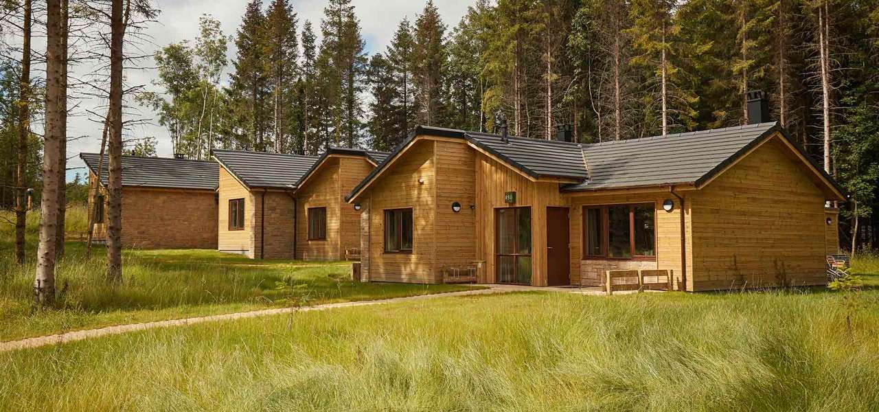 Wooden cabins sit grouped, facing a narrow path, in a grassy clearing bordered by tall conifer trees beneath a bright, partly cloudy sky.