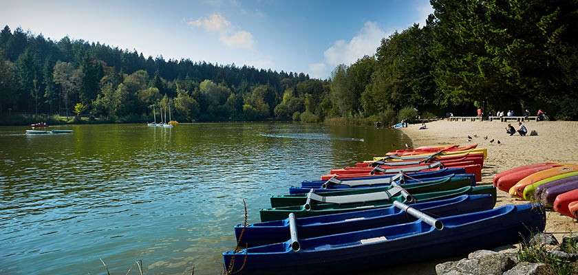 Colorful kayaks rest lined on a sandy shore, facing a calm lake. Pedal boats and sailboats glide in the distance, while people relax by forested banks under a cloudy sky.