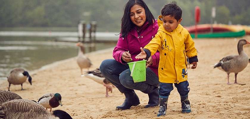 Child in a yellow raincoat feeds birds; caregiver kneels beside holding a green bucket; context: sandy lakeshore with ducks and geese, calm water, dock and canoes in background.