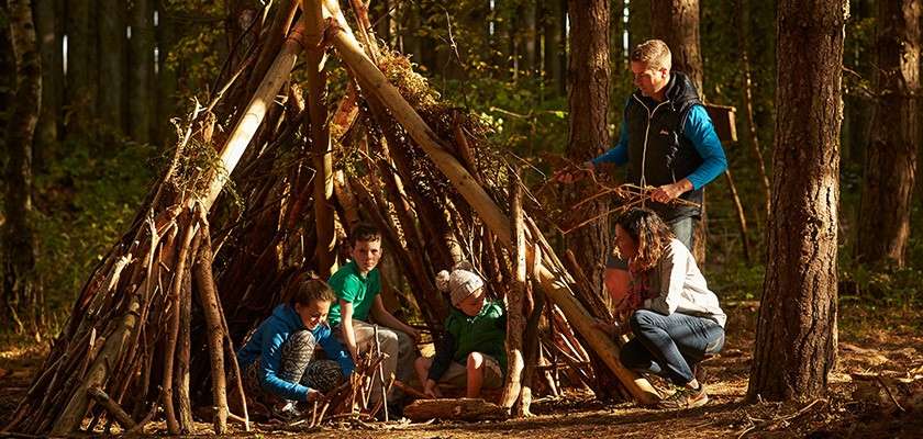 Family den building in the forest.