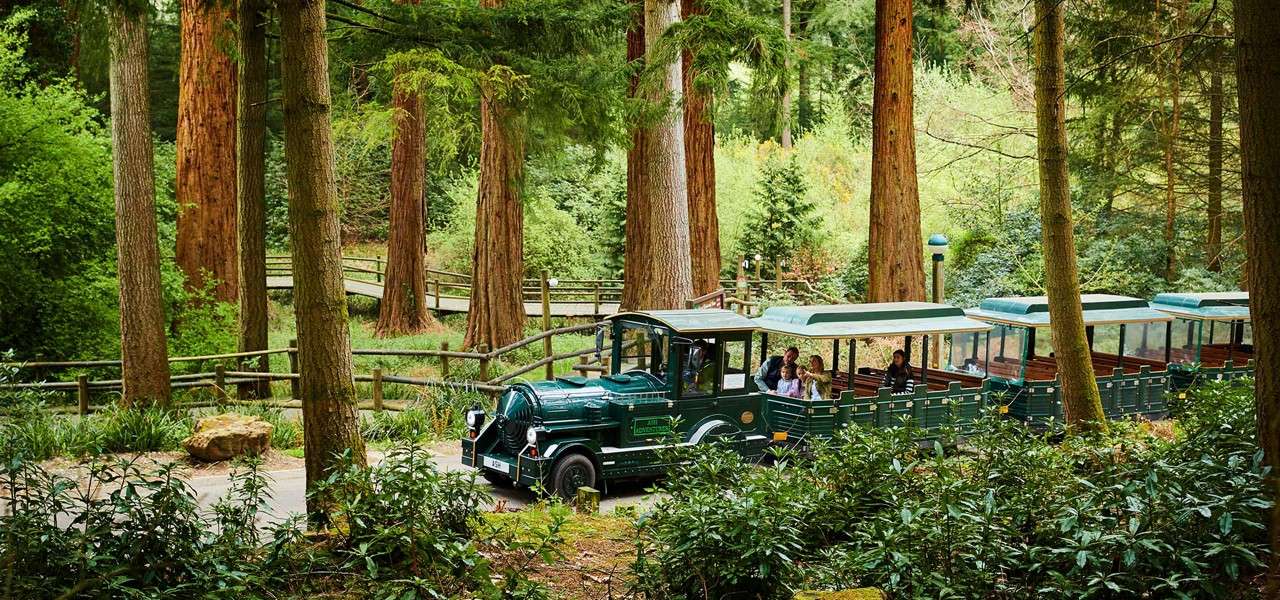 Longleat Forest land train.
