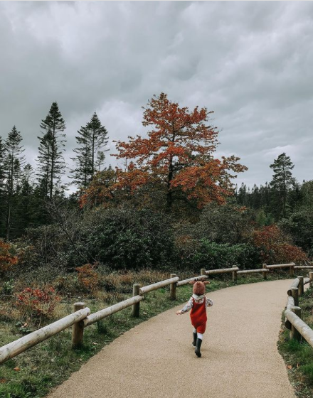 A child running through the forest.