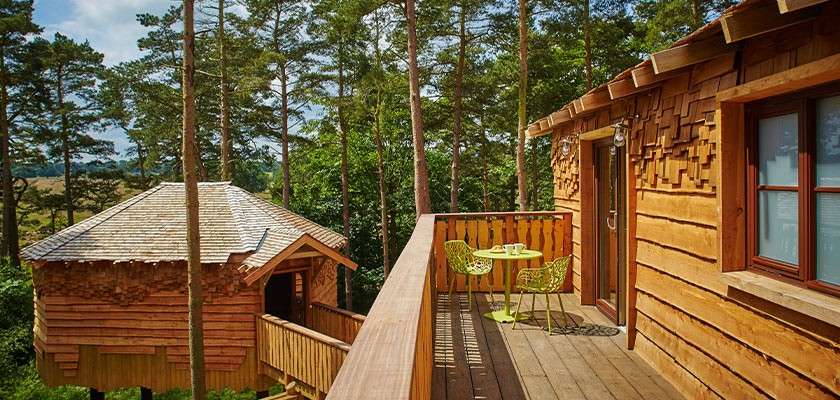 Wooden treehouse balcony hosts a small lime-green table and two chairs, overlooking another treehouse. Tall pine trees surround the rustic cabins, with sunlight filtering through a tranquil forest.