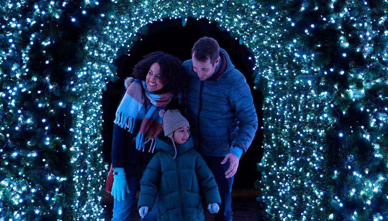 a family walking through the enchanted light garden surrounded by lights