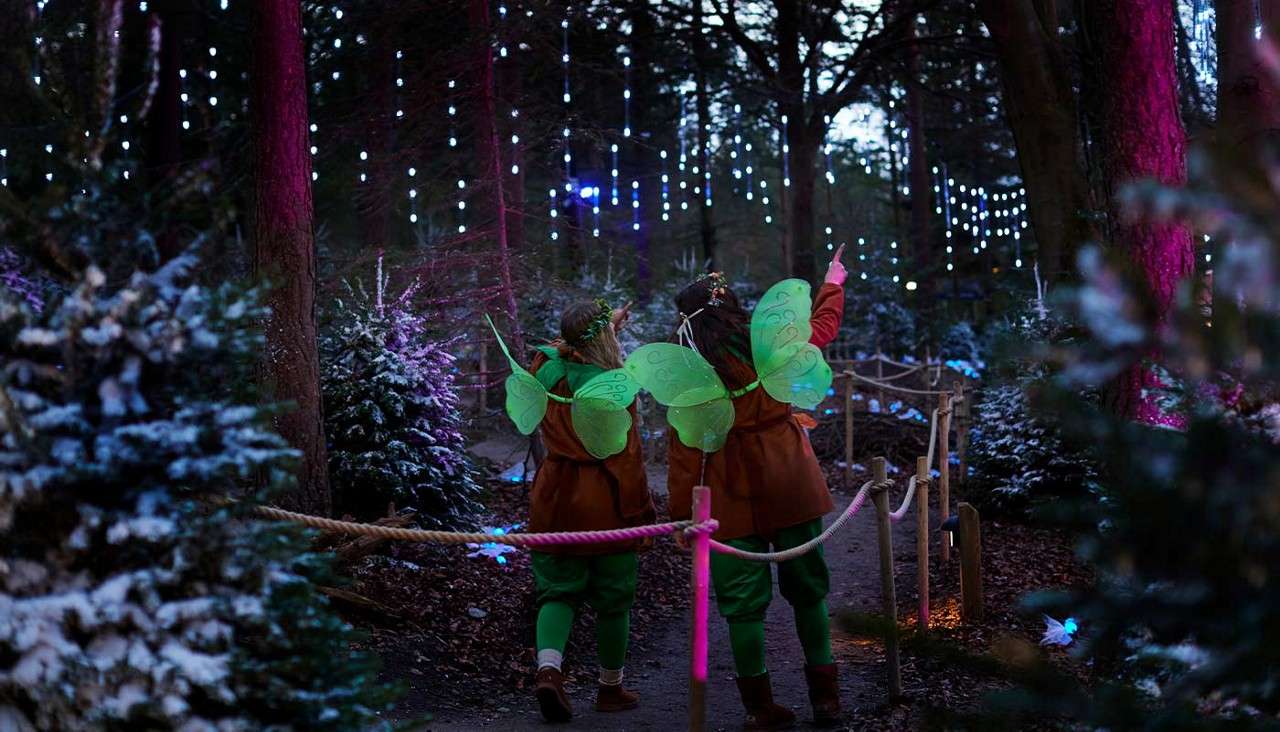 Two children in fairy costumes walk on a rope-lined forest path, pointing upward; snow-dusted trees flank them beneath hanging blue lights at dusk.